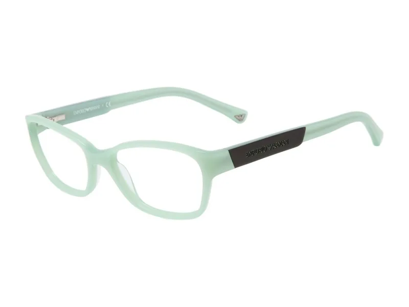 Emporio Armani EA3004