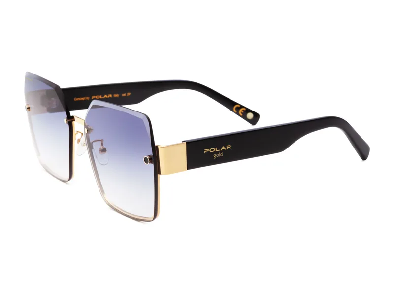 Polar GOLD-6004