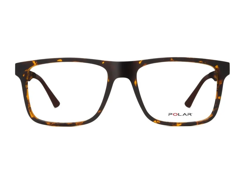 Polar K495