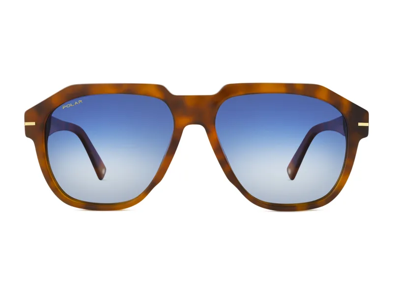 Polar PGOLD152