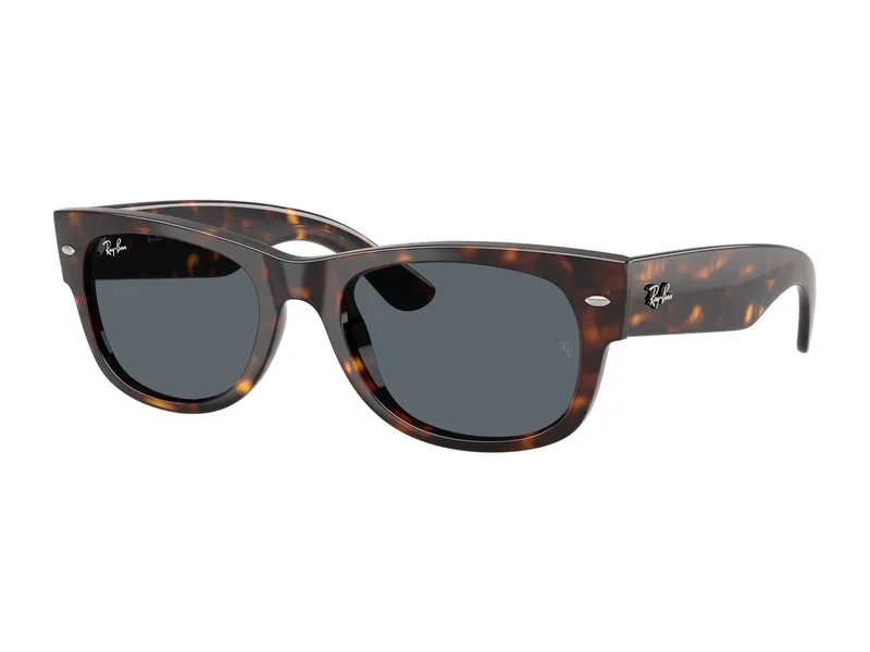 Ray-Ban RB0832S