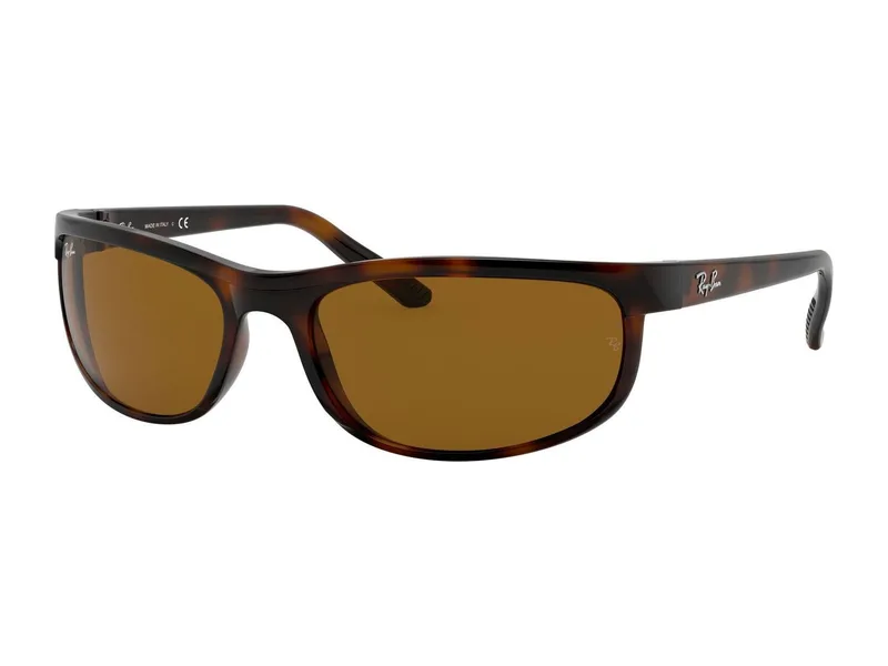 Ray-Ban RB2027