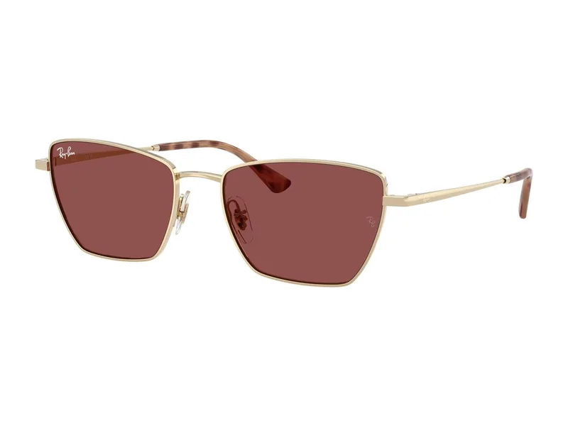 Ray-Ban RB3783