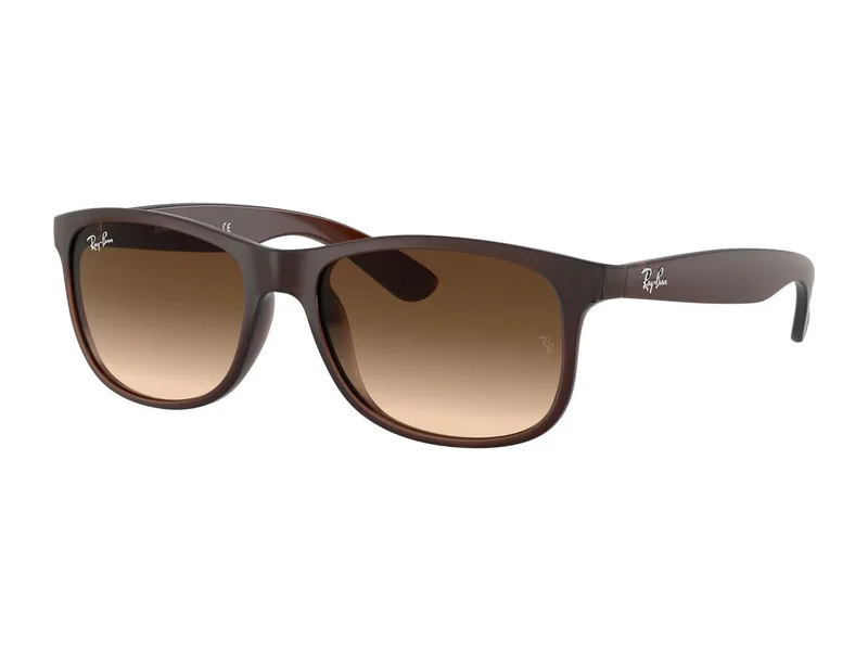 Ray-Ban RB4202