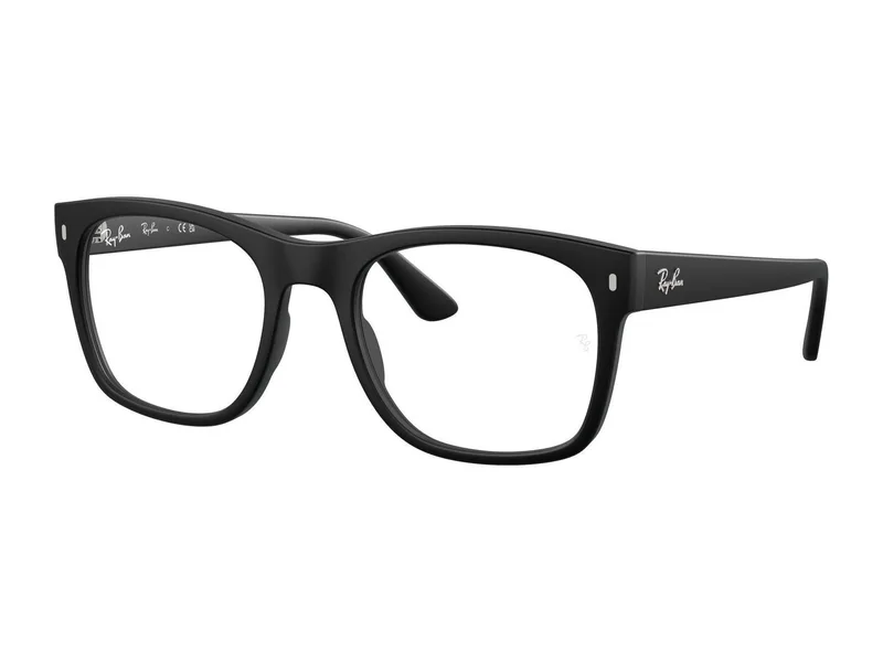 Ray-Ban RX7228